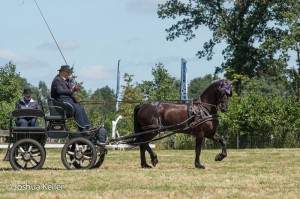 dressuur en vaardigheid  nienoord 10-8-2015  joshua keller-0323     